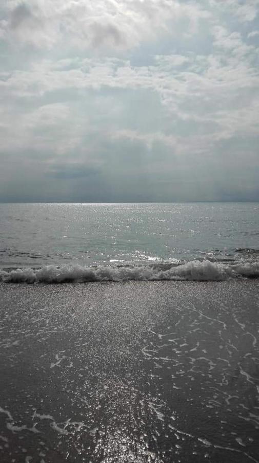 Penbryn Holidays, Barmouth Buitenkant foto